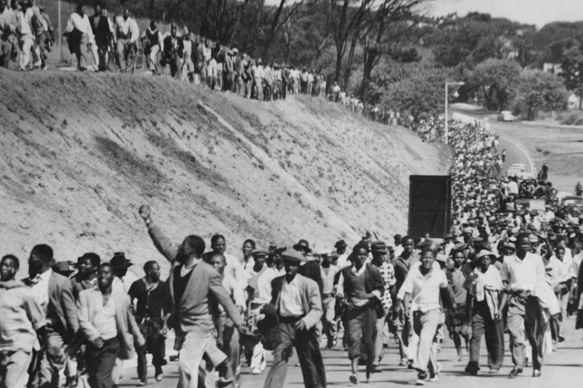 26 Faits Sur Apartheid