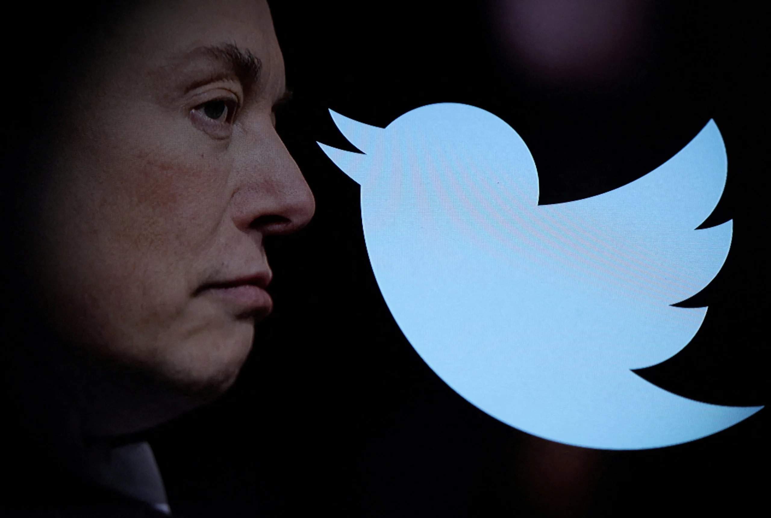 28 Faits Sur Twitter
