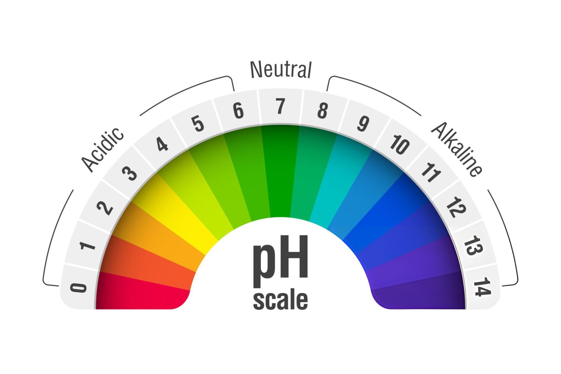 29 Faits Sur Échelle De PH
