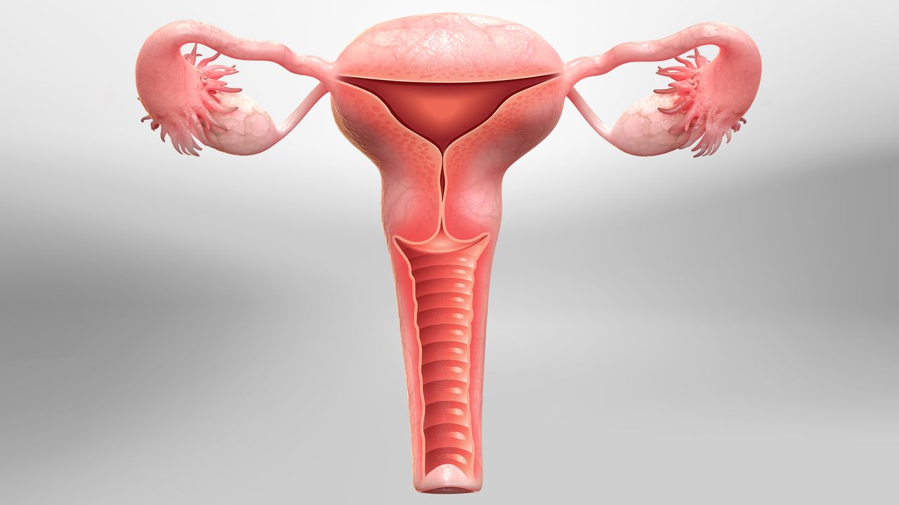 30 Faits Sur Hystérectomie
