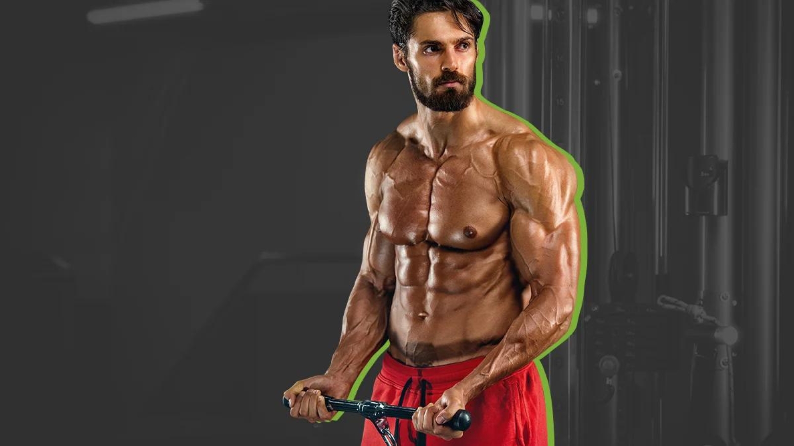 32 Faits Sur Biceps