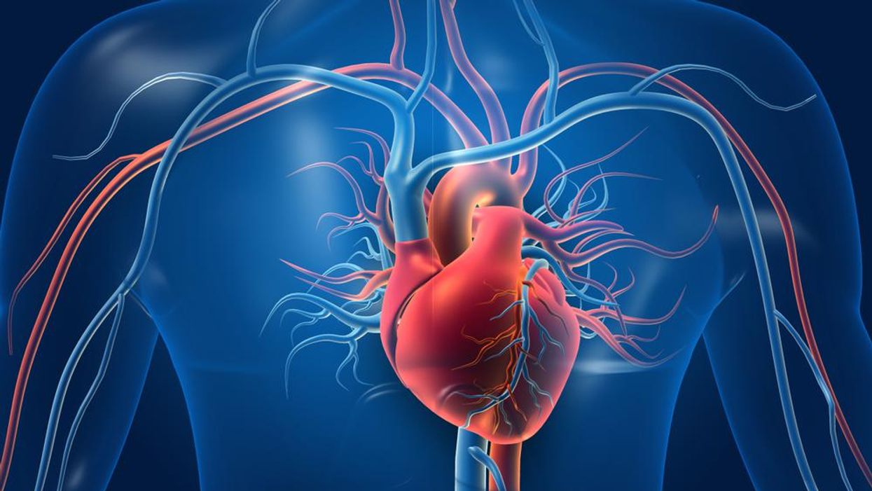 36 Faits Sur Cardiovasculaire