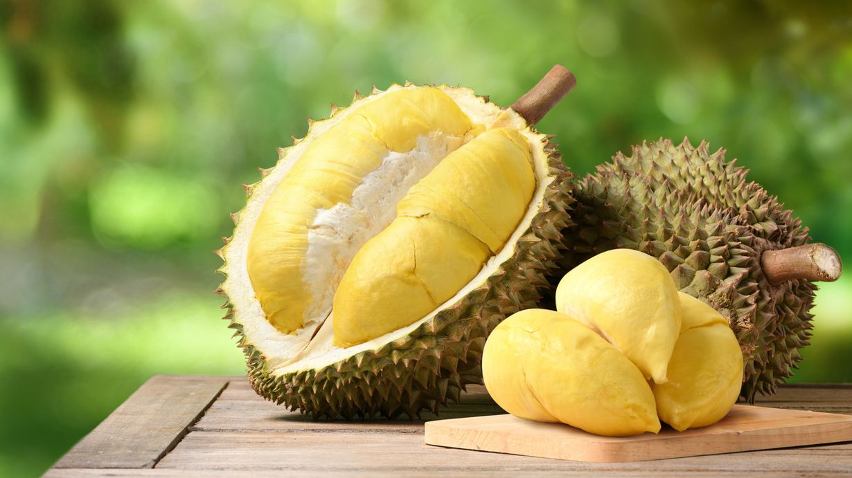 40 Faits Sur Durian